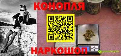 крисы Ливны