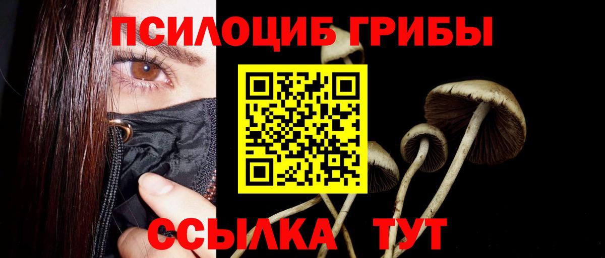 Псилоцибиновые грибы мицелий  Псилоцибиновые грибы Cubensis  Вход с VPN  Вольск 