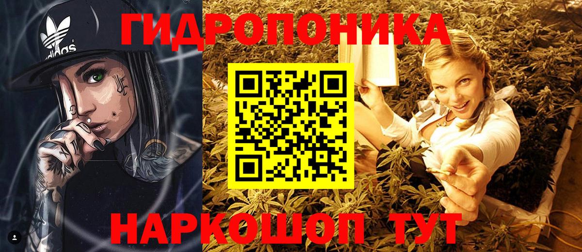Бошки Шишки VHQ  Вход с VPN  Каннабис OG Kush  Вольск 